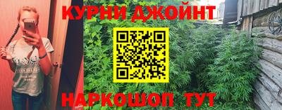 эйфоретик Новозыбков