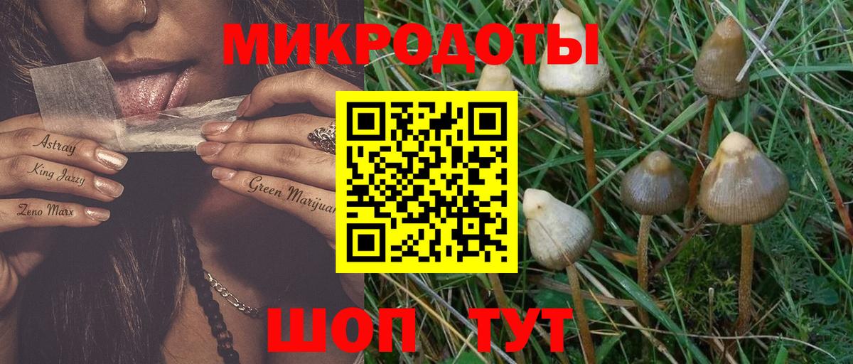 Северобайкальск  Псилоцибиновые грибы мухоморы  Вход с VPN 