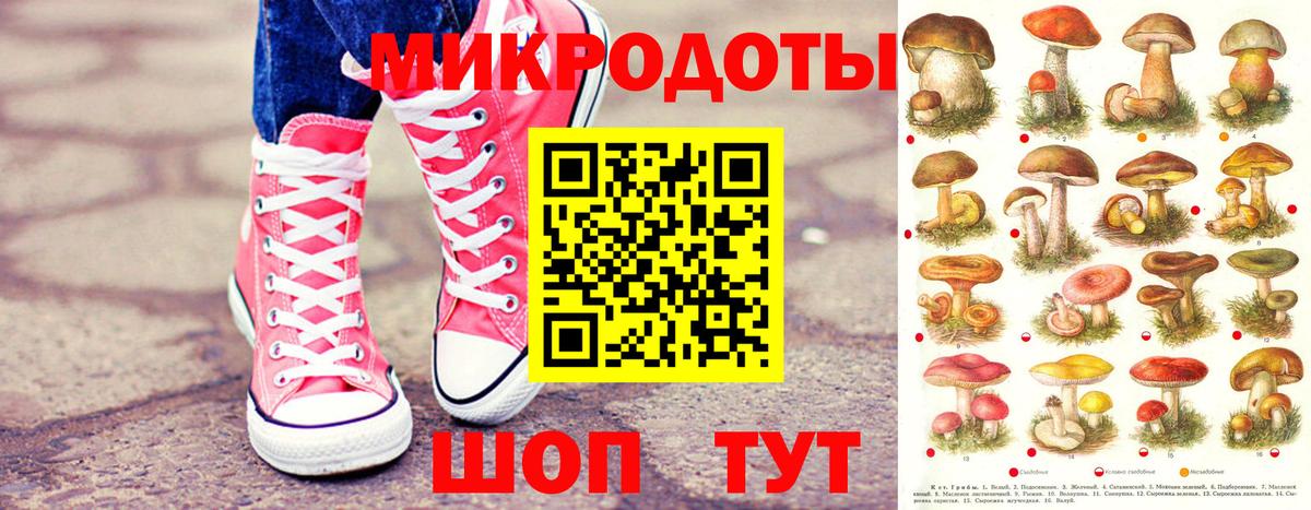 Псилоцибиновые грибы GOLDEN TEACHER Северобайкальск